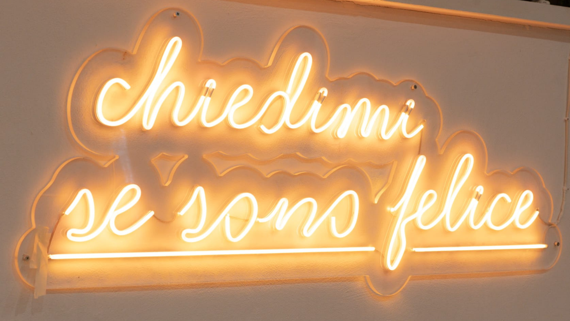 fermento background 2